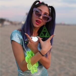 Linda farrow clear purple cat eye sunglasses